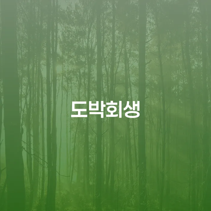 김포개인회생 개인회생 문제해결방법 혼자 고민하지 마세요.