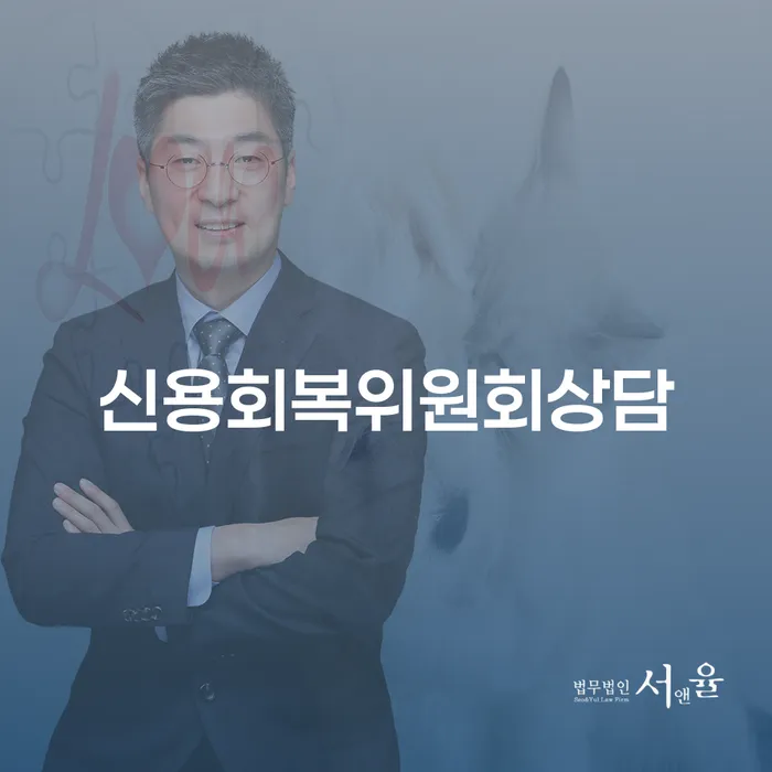 카드값대출 연체 시 개인회생으로 해결 해결하기
