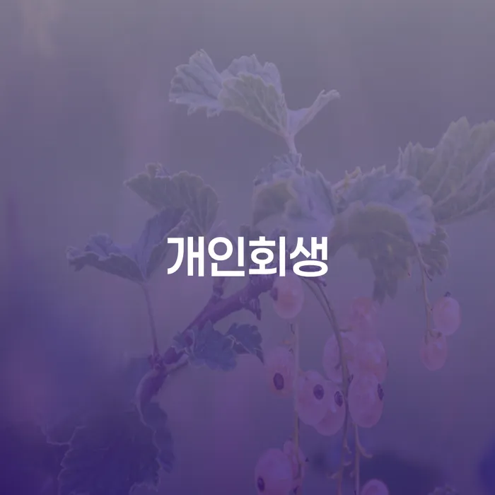 개인회생 기간 채무조정제도을 이용하여 빨리신청해야하는