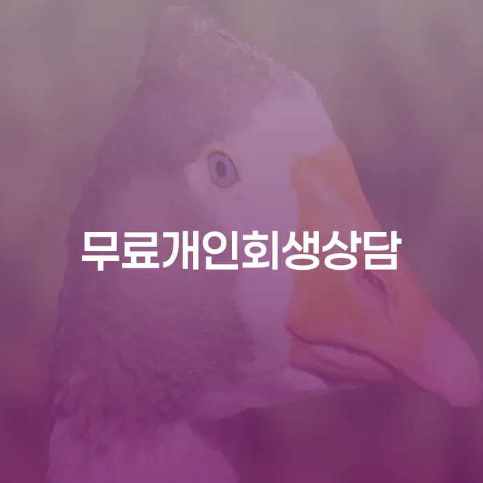 대출 연체 5일 채무 효과적인 해결방법 알아보려면