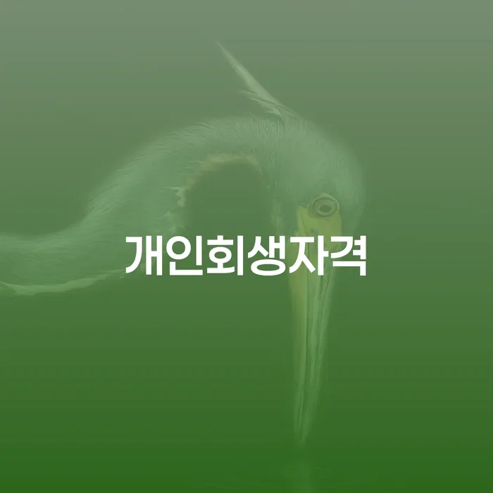 통장차압 빚 합법적인 빠른방법 달라진점