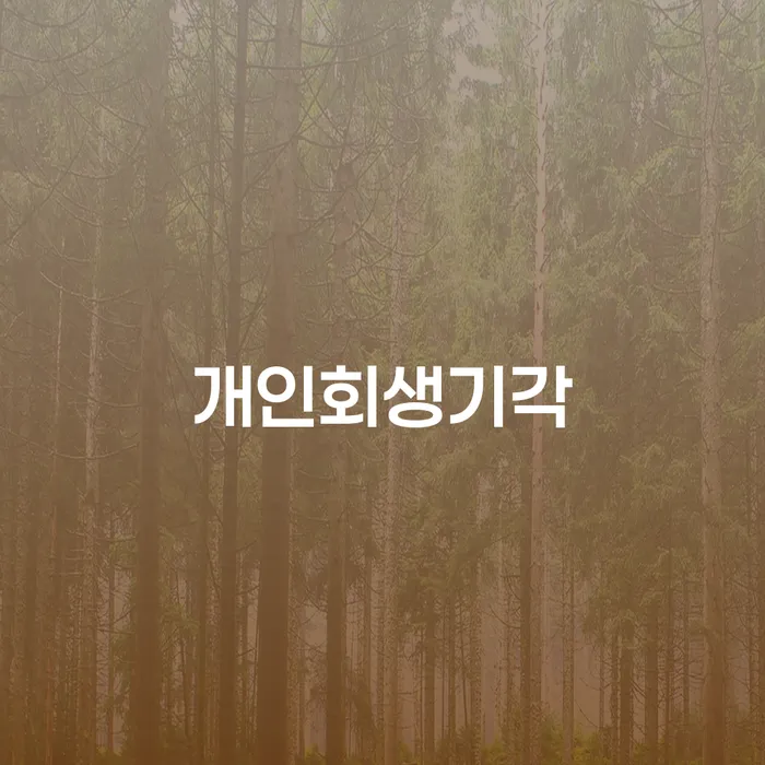 대출 연체 채무 효과적인 해결방법 해결 할 수 있을까?