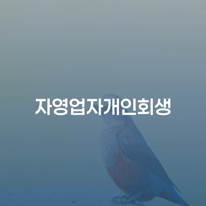 회생비용 분납가능하고 채무 효과적인 해결방법 잘 하는 사무소