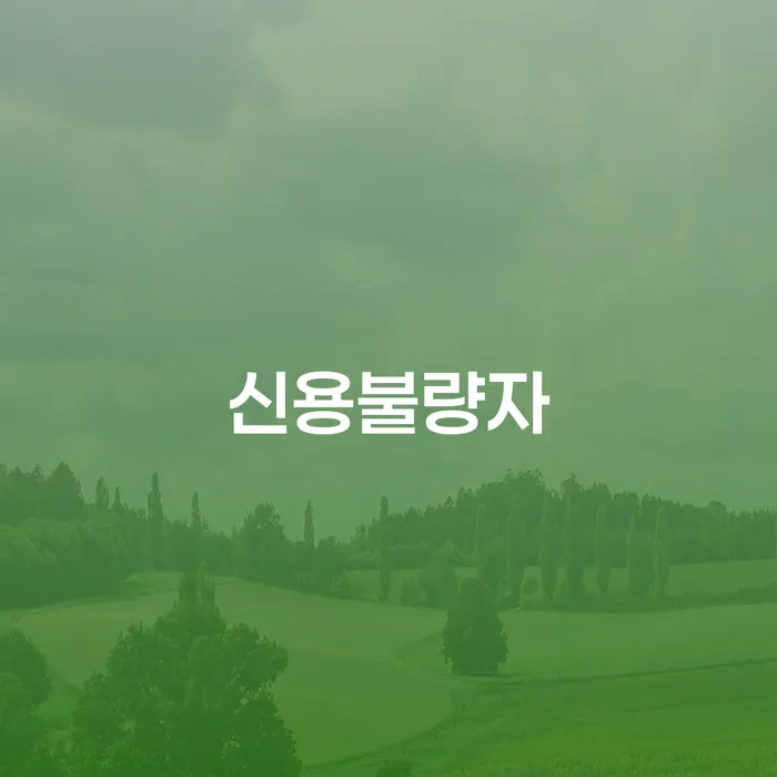 빚 개인회생으로 해결방법 확실한 진행