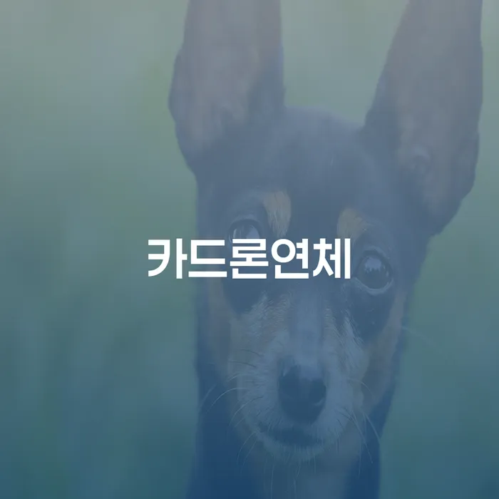 통신비 연체 시 빚 해결할 잘신청하기