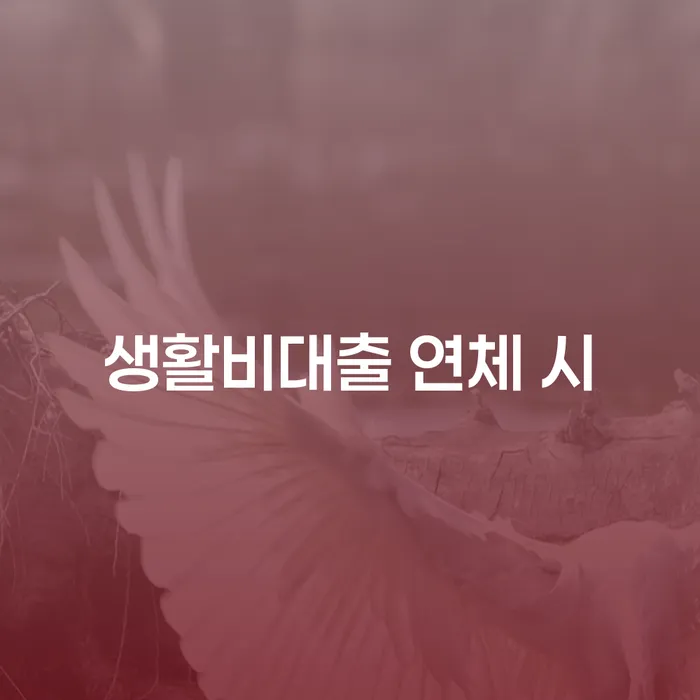 완도군 개인회생불이익 대출 연체 개인회생 살고있는