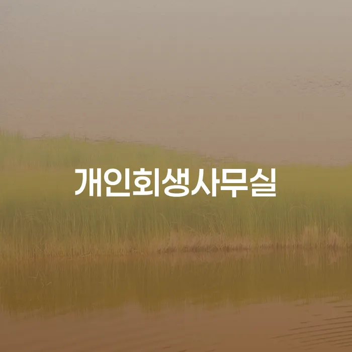 진천군 개인회생성공사례 연체 채무 신속해결방법 추천하는 곳