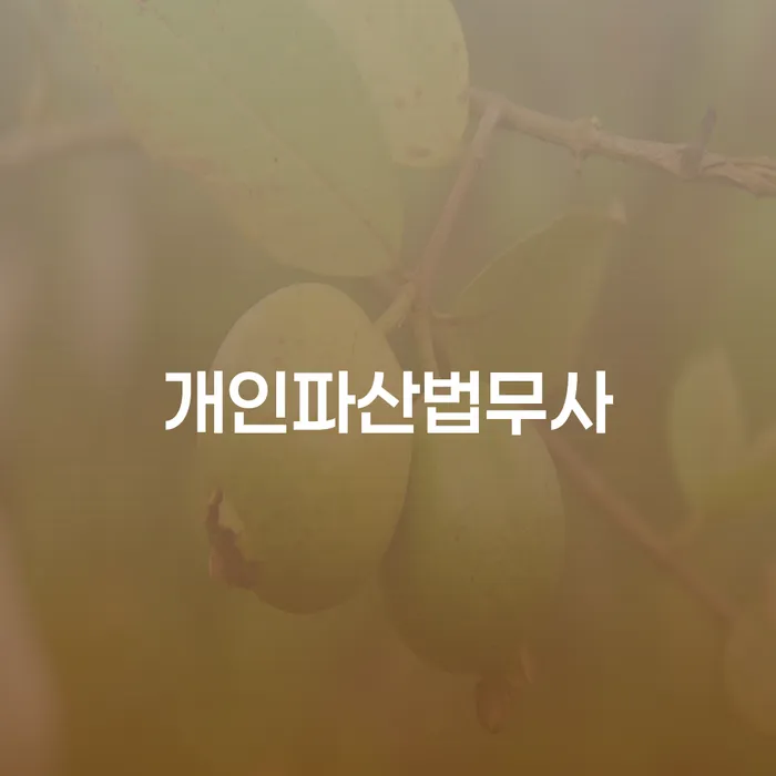 서귀포시 개인회생방법 빚청산 최신정보