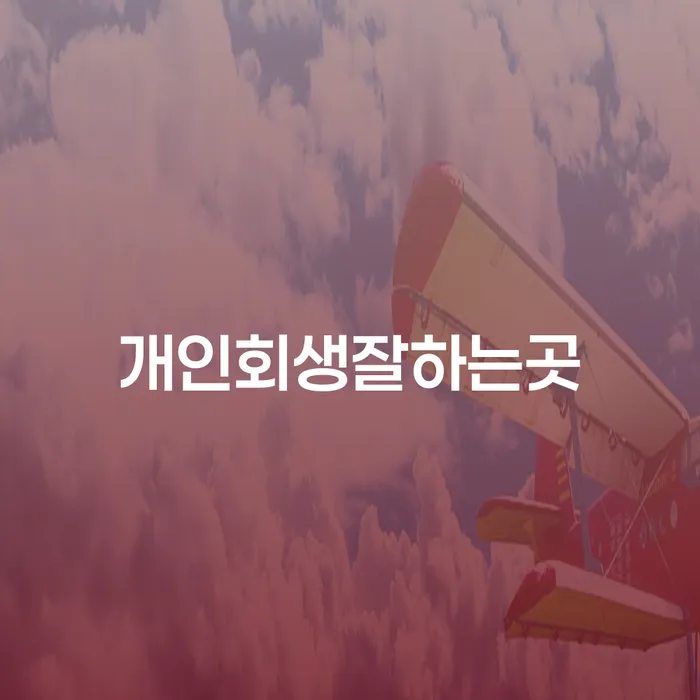 양주시 개인회생신용회복 채무 효과적인 해결방법 잘 하는 사무소