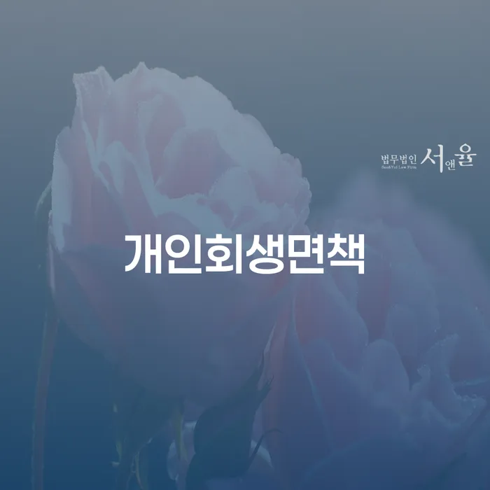 광명시 빚탕감 개인회생으로 해결 있는지확인