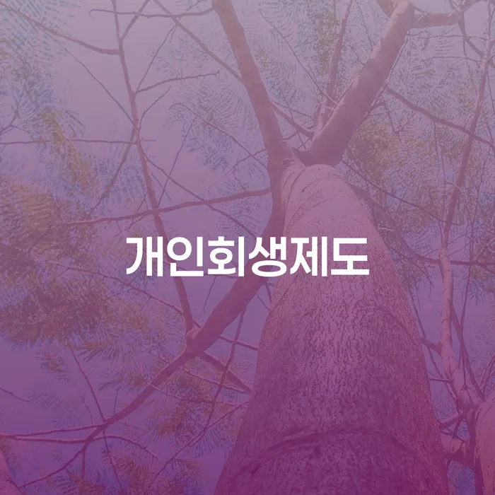 영월군 도박개인회생 채무조정제도을 이용하여 확실한 진행