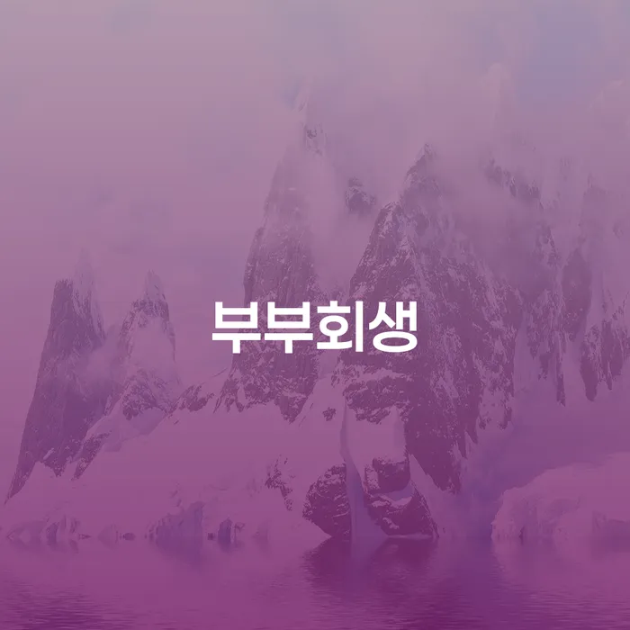 논산시 금리저렴한대출 연체 시 개인회생으로 방법 추전하는 사무소