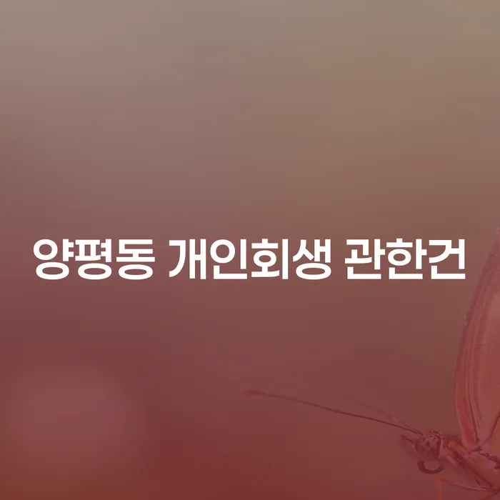 양평동 개인회생 관한건