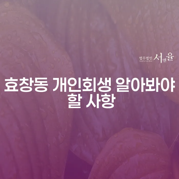 효창동 개인회생 알아봐야 할 사항