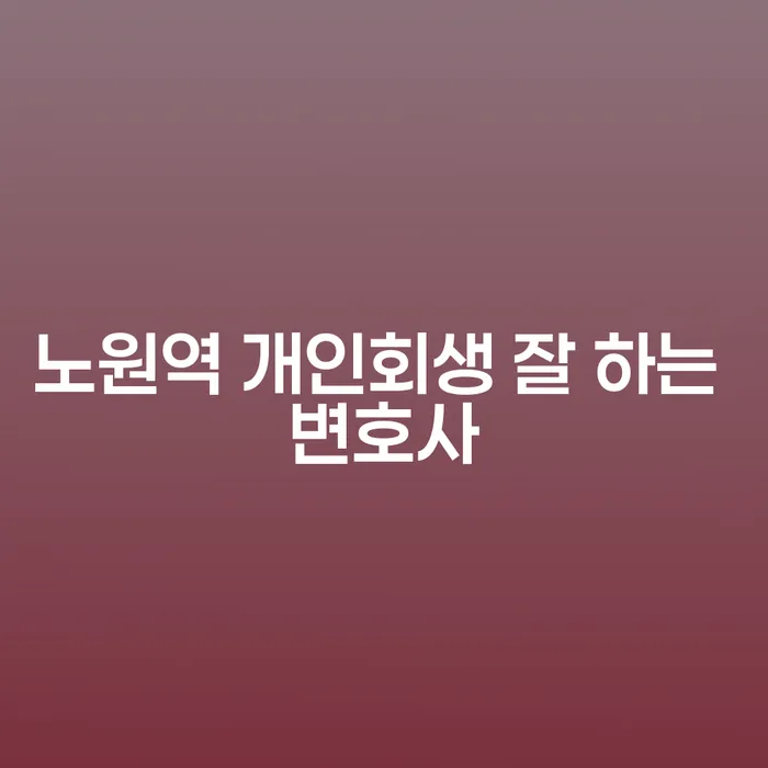 노원역 개인회생 잘 하는 변호사