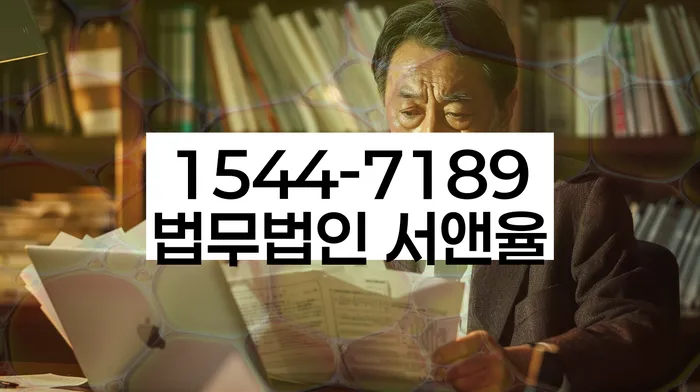 개인회생 소득 대비 채무 조정