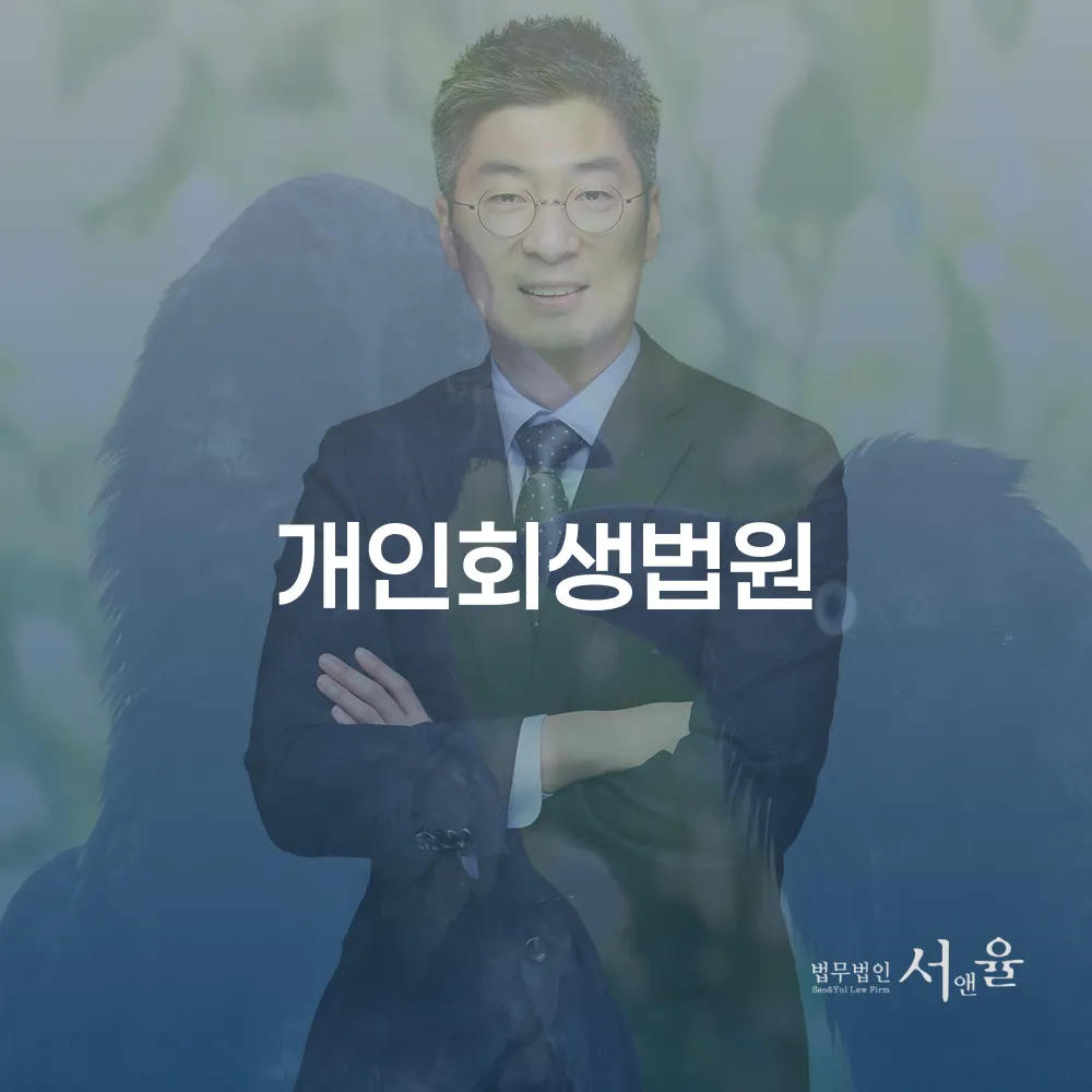 개인회생법원과 개인회생 절차의 이해