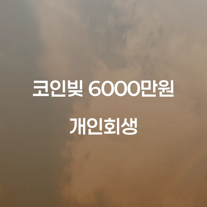 코인빚 6000만원, 개인회생으로 해결할 수 있을까요?