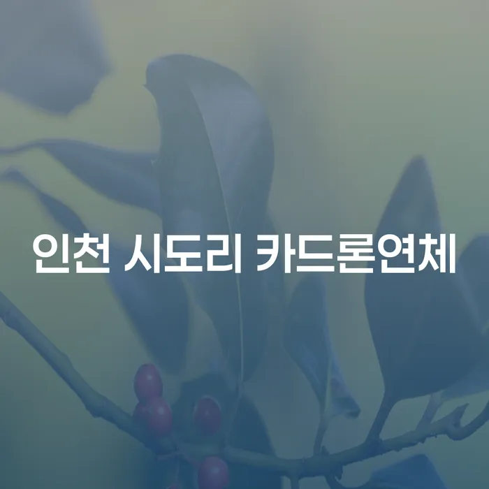 인천 시도리 카드론연체, 어떻게 해결할 수 있을까요?